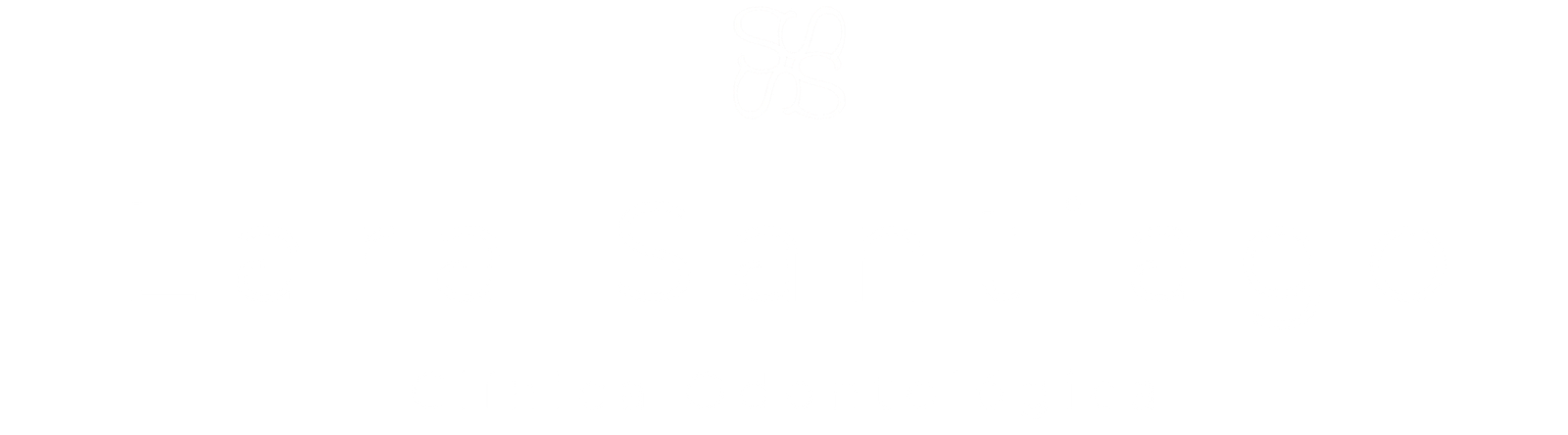 Logo branca Dra. Lara Santiago
